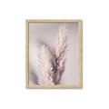 Picture of Enchanted Pampas Grass _GroupedProduct_Rectangle_Portrait_Photography _GroupedProduct_Rectangle_Portrait_Framed_Matted_