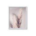 Picture of Enchanted Pampas Grass _GroupedProduct_Rectangle_Portrait_Photography _GroupedProduct_Rectangle_Portrait_Framed_Matted_
