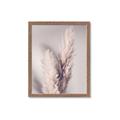 Picture of Enchanted Pampas Grass _GroupedProduct_Rectangle_Portrait_Photography _GroupedProduct_Rectangle_Portrait_Framed_Matted_