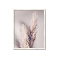 Picture of Enchanted Pampas Grass _GroupedProduct_Rectangle_Portrait_Photography _GroupedProduct_Rectangle_Portrait_Framed_Matted_