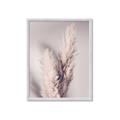 Picture of Enchanted Pampas Grass _GroupedProduct_Rectangle_Portrait_Photography _GroupedProduct_Rectangle_Portrait_Framed_Matted_