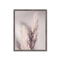 Picture of Enchanted Pampas Grass _GroupedProduct_Rectangle_Portrait_Photography _GroupedProduct_Rectangle_Portrait_Framed_Matted_
