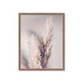 Picture of Enchanted Pampas Grass _GroupedProduct_Rectangle_Portrait_Photography _GroupedProduct_Rectangle_Portrait_Framed_Matted_