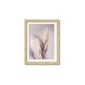 Picture of Enchanted Pampas Grass _GroupedProduct_Rectangle_Portrait_Photography _GroupedProduct_Rectangle_Portrait_Framed_Matted_