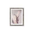 Picture of Enchanted Pampas Grass _GroupedProduct_Rectangle_Portrait_Photography _GroupedProduct_Rectangle_Portrait_Framed_Matted_