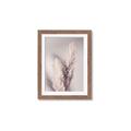 Picture of Enchanted Pampas Grass _GroupedProduct_Rectangle_Portrait_Photography _GroupedProduct_Rectangle_Portrait_Framed_Matted_