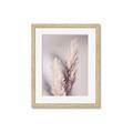 Picture of Enchanted Pampas Grass _GroupedProduct_Rectangle_Portrait_Photography _GroupedProduct_Rectangle_Portrait_Framed_Matted_