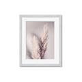 Picture of Enchanted Pampas Grass _GroupedProduct_Rectangle_Portrait_Photography _GroupedProduct_Rectangle_Portrait_Framed_Matted_