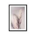 Picture of Enchanted Pampas Grass _GroupedProduct_Rectangle_Portrait_Photography _GroupedProduct_Rectangle_Portrait_Framed_Matted_