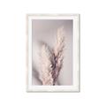 Picture of Enchanted Pampas Grass _GroupedProduct_Rectangle_Portrait_Photography _GroupedProduct_Rectangle_Portrait_Framed_Matted_