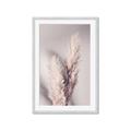 Picture of Enchanted Pampas Grass _GroupedProduct_Rectangle_Portrait_Photography _GroupedProduct_Rectangle_Portrait_Framed_Matted_