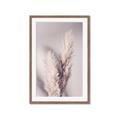 Picture of Enchanted Pampas Grass _GroupedProduct_Rectangle_Portrait_Photography _GroupedProduct_Rectangle_Portrait_Framed_Matted_