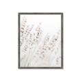 Picture of Grass straws _GroupedProduct_Rectangle_Portrait_Photography _GroupedProduct_Rectangle_Portrait_Framed_Matted_