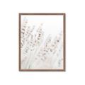 Picture of Grass straws _GroupedProduct_Rectangle_Portrait_Photography _GroupedProduct_Rectangle_Portrait_Framed_Matted_