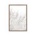 Picture of Grass straws _GroupedProduct_Rectangle_Portrait_Photography _GroupedProduct_Rectangle_Portrait_Framed_Matted_