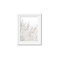 Picture of Grass straws _GroupedProduct_Rectangle_Portrait_Photography _GroupedProduct_Rectangle_Portrait_Framed_Matted_