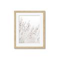 Picture of Grass straws _GroupedProduct_Rectangle_Portrait_Photography _GroupedProduct_Rectangle_Portrait_Framed_Matted_