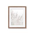 Picture of Grass straws _GroupedProduct_Rectangle_Portrait_Photography _GroupedProduct_Rectangle_Portrait_Framed_Matted_