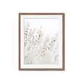 Picture of Grass straws _GroupedProduct_Rectangle_Portrait_Photography _GroupedProduct_Rectangle_Portrait_Framed_Matted_