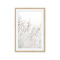 Picture of Grass straws _GroupedProduct_Rectangle_Portrait_Photography _GroupedProduct_Rectangle_Portrait_Framed_Matted_