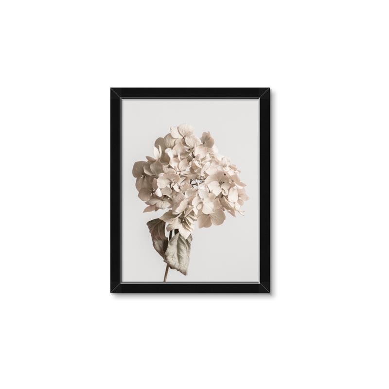 Picture of Lullaby of a Beige Flower _GroupedProduct_Rectangle_Portrait_Photography _GroupedProduct_Rectangle_Portrait_Framed_Matted_