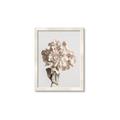 Picture of Lullaby of a Beige Flower _GroupedProduct_Rectangle_Portrait_Photography _GroupedProduct_Rectangle_Portrait_Framed_Matted_