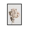 Picture of Lullaby of a Beige Flower _GroupedProduct_Rectangle_Portrait_Photography _GroupedProduct_Rectangle_Portrait_Framed_Matted_