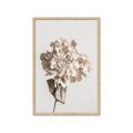 Picture of Lullaby of a Beige Flower _GroupedProduct_Rectangle_Portrait_Photography _GroupedProduct_Rectangle_Portrait_Framed_Matted_