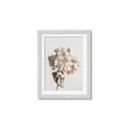 Picture of Lullaby of a Beige Flower _GroupedProduct_Rectangle_Portrait_Photography _GroupedProduct_Rectangle_Portrait_Framed_Matted_