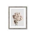 Picture of Lullaby of a Beige Flower _GroupedProduct_Rectangle_Portrait_Photography _GroupedProduct_Rectangle_Portrait_Framed_Matted_