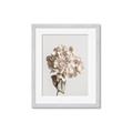 Picture of Lullaby of a Beige Flower _GroupedProduct_Rectangle_Portrait_Photography _GroupedProduct_Rectangle_Portrait_Framed_Matted_
