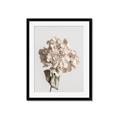 Picture of Lullaby of a Beige Flower _GroupedProduct_Rectangle_Portrait_Photography _GroupedProduct_Rectangle_Portrait_Framed_Matted_