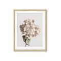 Picture of Lullaby of a Beige Flower _GroupedProduct_Rectangle_Portrait_Photography _GroupedProduct_Rectangle_Portrait_Framed_Matted_