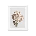 Picture of Lullaby of a Beige Flower _GroupedProduct_Rectangle_Portrait_Photography _GroupedProduct_Rectangle_Portrait_Framed_Matted_