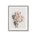 Picture of Lullaby of a Beige Flower _GroupedProduct_Rectangle_Portrait_Photography _GroupedProduct_Rectangle_Portrait_Framed_Matted_