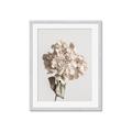 Picture of Lullaby of a Beige Flower _GroupedProduct_Rectangle_Portrait_Photography _GroupedProduct_Rectangle_Portrait_Framed_Matted_