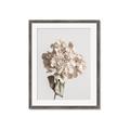 Picture of Lullaby of a Beige Flower _GroupedProduct_Rectangle_Portrait_Photography _GroupedProduct_Rectangle_Portrait_Framed_Matted_