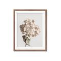 Picture of Lullaby of a Beige Flower _GroupedProduct_Rectangle_Portrait_Photography _GroupedProduct_Rectangle_Portrait_Framed_Matted_