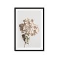 Picture of Lullaby of a Beige Flower _GroupedProduct_Rectangle_Portrait_Photography _GroupedProduct_Rectangle_Portrait_Framed_Matted_