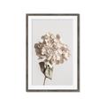 Picture of Lullaby of a Beige Flower _GroupedProduct_Rectangle_Portrait_Photography _GroupedProduct_Rectangle_Portrait_Framed_Matted_