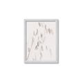 Picture of Ballet of Floral Shadows _GroupedProduct_Rectangle_Portrait_Photography _GroupedProduct_Rectangle_Portrait_Framed_Matted_