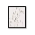 Picture of Ballet of Floral Shadows _GroupedProduct_Rectangle_Portrait_Photography _GroupedProduct_Rectangle_Portrait_Framed_Matted_