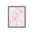 Picture of Ballet of Floral Shadows _GroupedProduct_Rectangle_Portrait_Photography _GroupedProduct_Rectangle_Portrait_Framed_Matted_