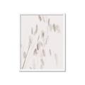 Picture of Ballet of Floral Shadows _GroupedProduct_Rectangle_Portrait_Photography _GroupedProduct_Rectangle_Portrait_Framed_Matted_