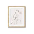 Picture of Ballet of Floral Shadows _GroupedProduct_Rectangle_Portrait_Photography _GroupedProduct_Rectangle_Portrait_Framed_Matted_