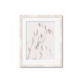 Picture of Ballet of Floral Shadows _GroupedProduct_Rectangle_Portrait_Photography _GroupedProduct_Rectangle_Portrait_Framed_Matted_