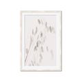 Picture of Ballet of Floral Shadows _GroupedProduct_Rectangle_Portrait_Photography _GroupedProduct_Rectangle_Portrait_Framed_Matted_