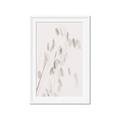 Picture of Ballet of Floral Shadows _GroupedProduct_Rectangle_Portrait_Photography _GroupedProduct_Rectangle_Portrait_Framed_Matted_