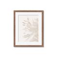 Picture of An Echo of Leaves _GroupedProduct_Rectangle_Portrait_Photography _GroupedProduct_Rectangle_Portrait_Framed_Matted_