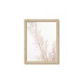 Picture of Earthy Flora Straws _GroupedProduct_Rectangle_Portrait_Photography _GroupedProduct_Rectangle_Portrait_Framed_Matted_